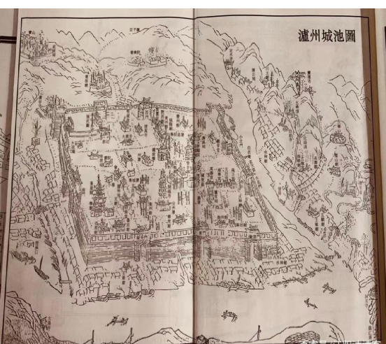博物馆藏品背后的故事”之十二--江城探寻硅化木-成都理工大学博物馆